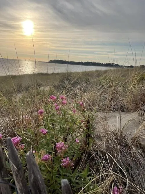 A Deux Pas De La Plage Du Fogeo Arzon